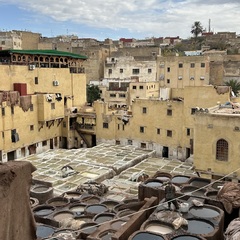 Fez tour
