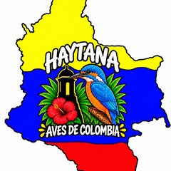 HAYTANA AVES DE COLOMBIA