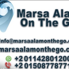 Marsa alam on the go