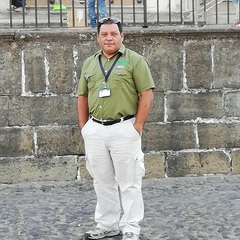 Nelson Armando Palomo Toledo