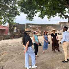 Royal Route City Explorer Tours