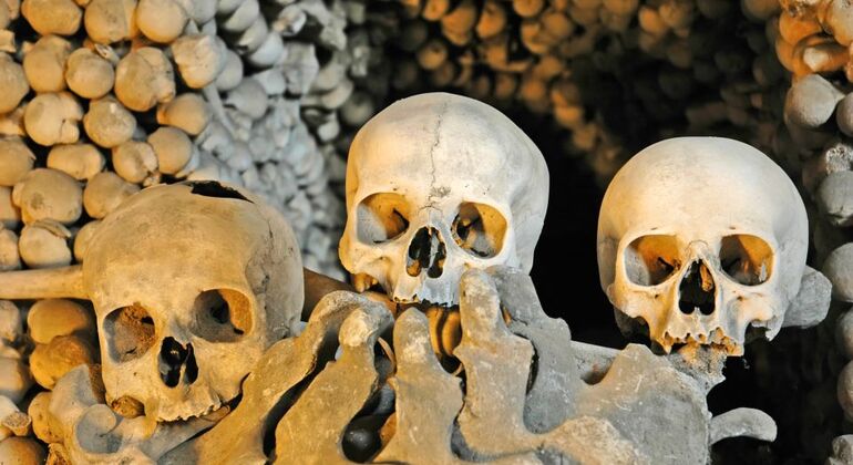Cripte e dipinti: Un viaggio nel tempo e nell'arte