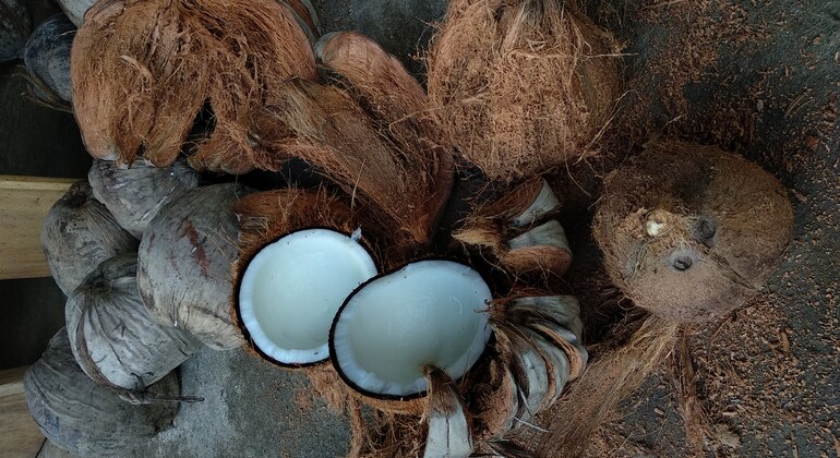 Preparare l'olio di cocco tradizionale di Bali con una famiglia balinese