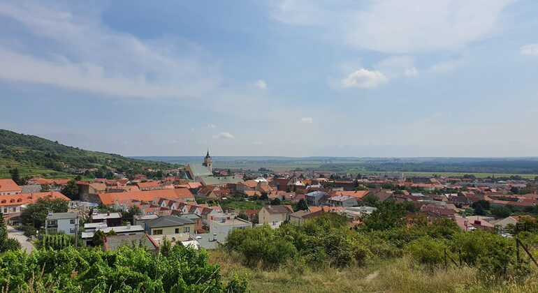 Wine Safari Tour in Bratislava