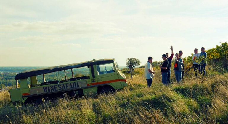 Wine Safari Tour in Bratislava