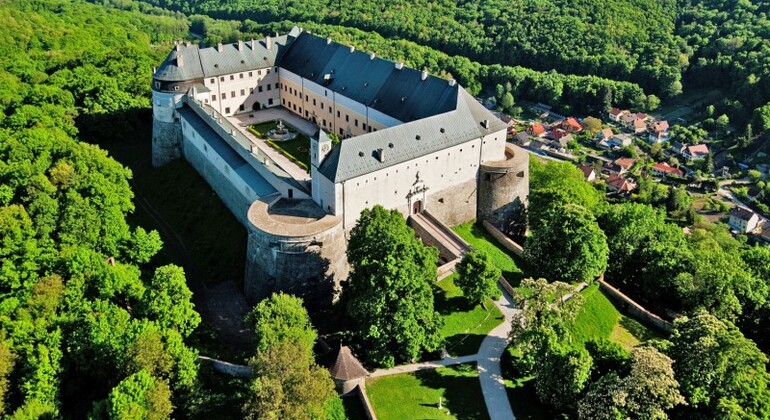 Castle, Cave & Classy Honey Wine Tasting