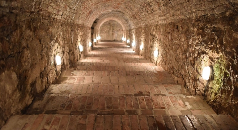 The Treasures of the Bratislava Region