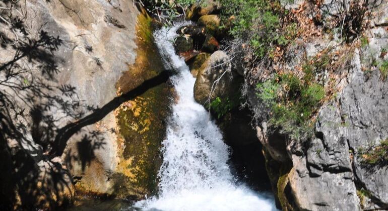 Excursión a la Ciudad Antigua de Syedra y el Cañón de Sapadere con almuerzo
