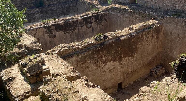 Excursión a la Ciudad Antigua de Syedra y el Cañón de Sapadere con almuerzo