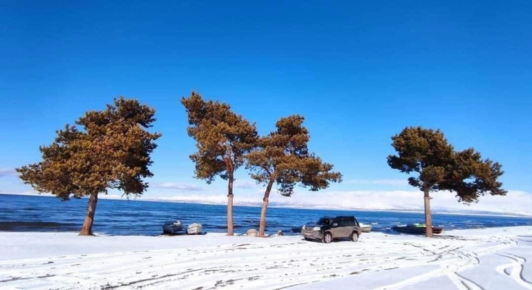 Private Day Trip to Symphony of Stones, Garni, Geghard & Lake Sevan