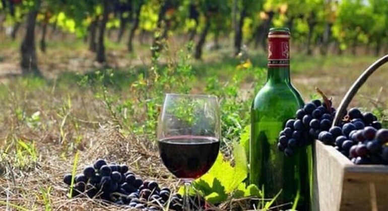 Private Trip: Tatev Ropeway-Shaki Waterfall-Noravank-Wine Degustation