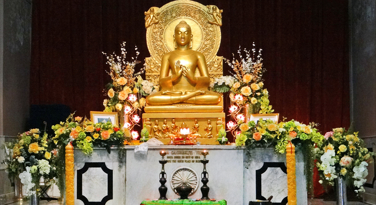 Excursión a Sarnath en Benarés - La cuna del budismo
