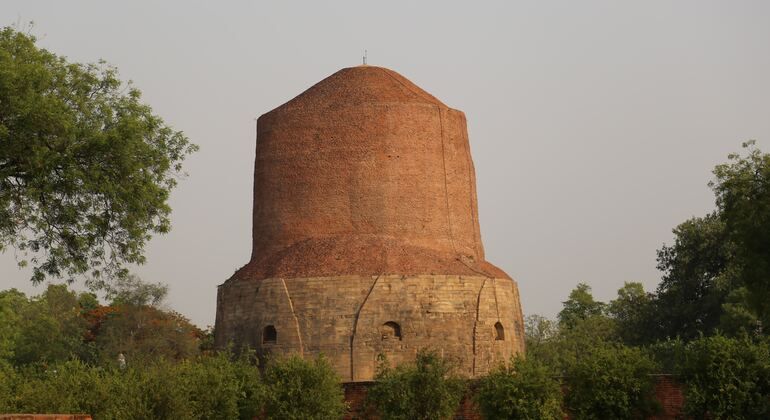 Excursión a Sarnath en Benarés - La cuna del budismo