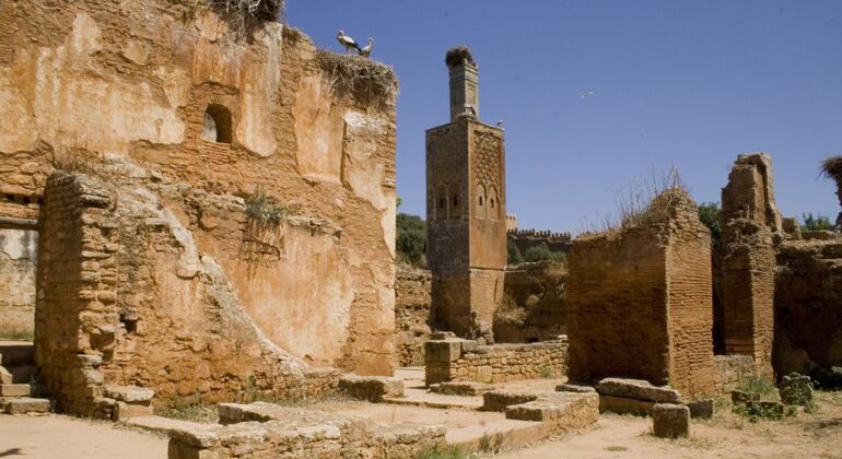 Rabat: Excursión de un día desde Casablanca