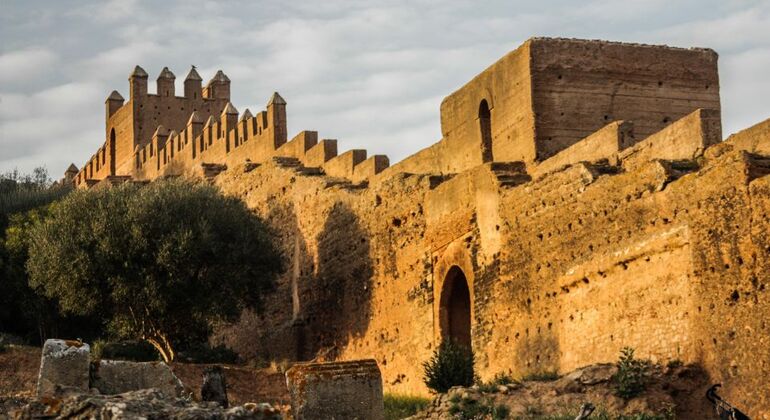 Rabat: Excursión de un día desde Casablanca