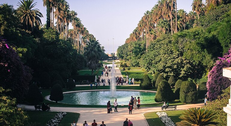 Visita a la ciudad de Argel