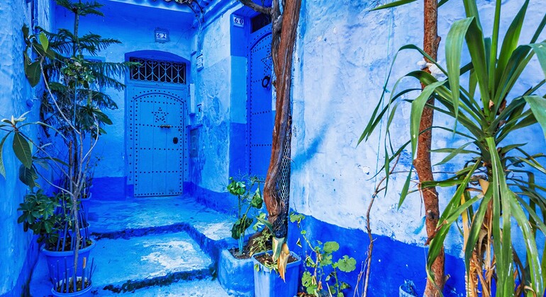 Tour of the City of Chefchaouen