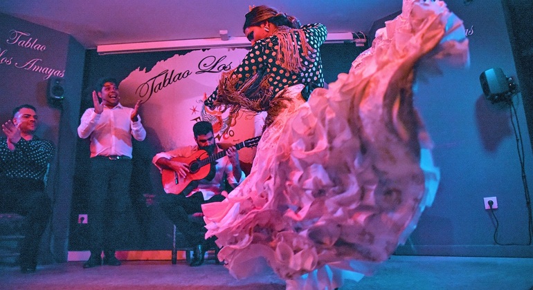 Tour de Flamenco, Tapas e Vinho em Málaga