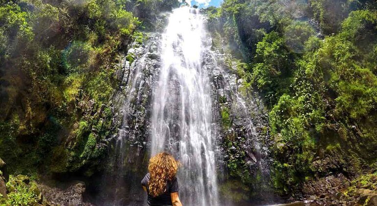 Materuni Waterfalls & Coffee Plantation