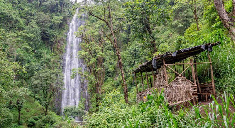 Materuni Waterfalls & Coffee Plantation