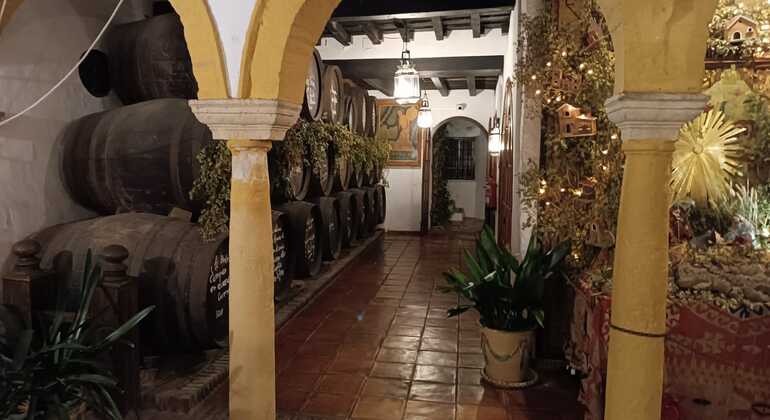 Cordoba Food & Wine Tour in the Old Town