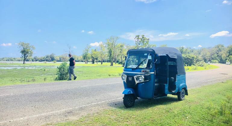 Safari en Tuk Tuk por la bahía de Arugam