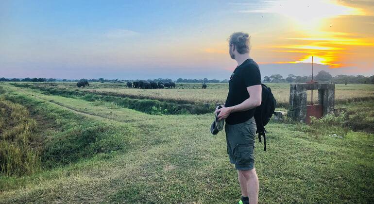 Safari en Tuk Tuk por la bahía de Arugam
