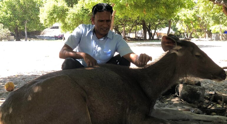 Safari en Tuk Tuk por la bahía de Arugam