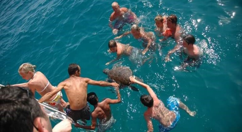 Excursión en catamarán todo incluido desde Alanya