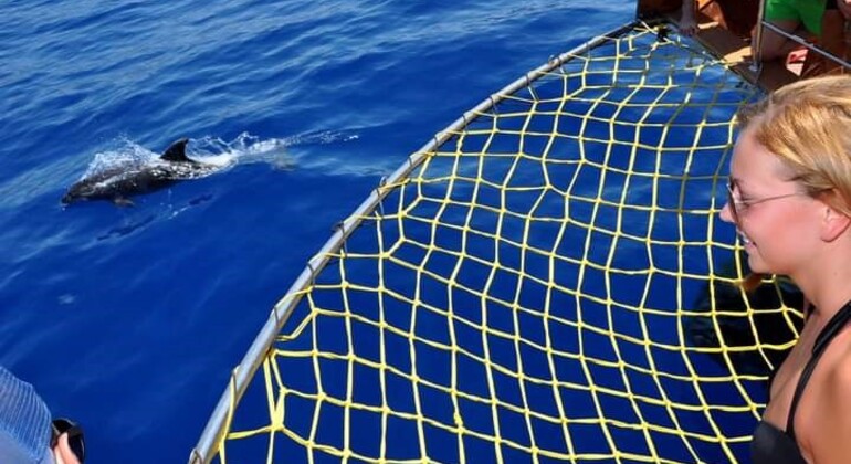 Excursión en catamarán todo incluido desde Alanya