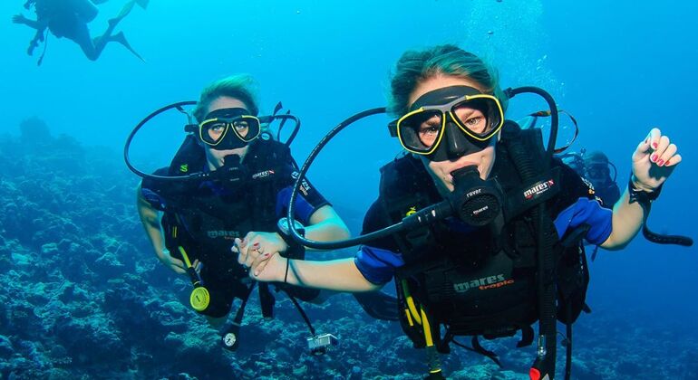 Excursión de buceo en Alanya con almuerzo
