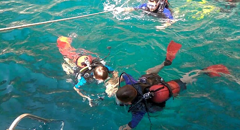 Excursión de buceo en Alanya con almuerzo