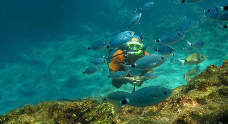 Excursión de buceo en Alanya con almuerzo