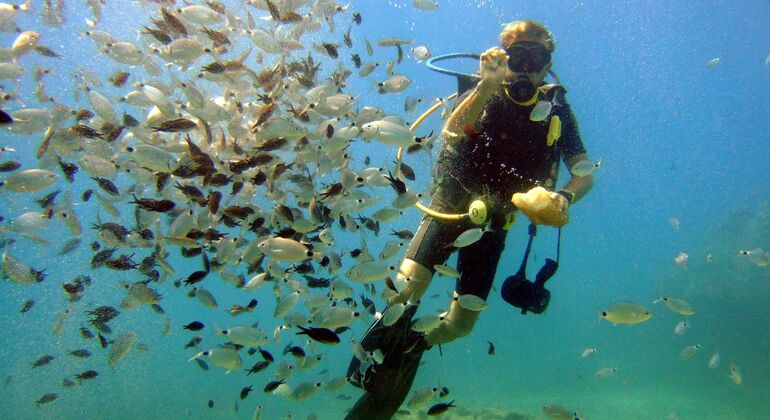 Excursión de buceo en Alanya con almuerzo