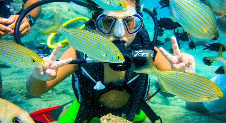 Excursión de buceo en Alanya con almuerzo