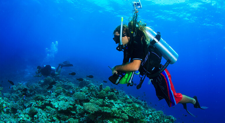 Excursión de buceo en Alanya con almuerzo