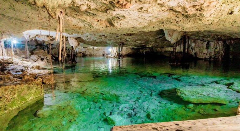 Cenotes Excursion