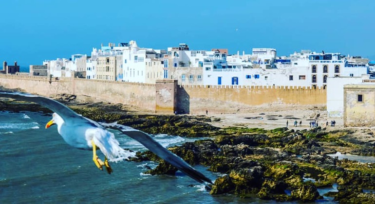 Excursión de un día a Essaouira desde Marrakech