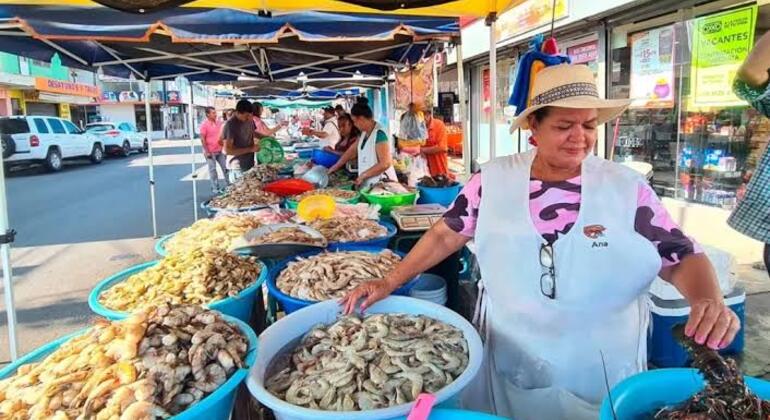 Scoprire Mazatlán con Pulmonia