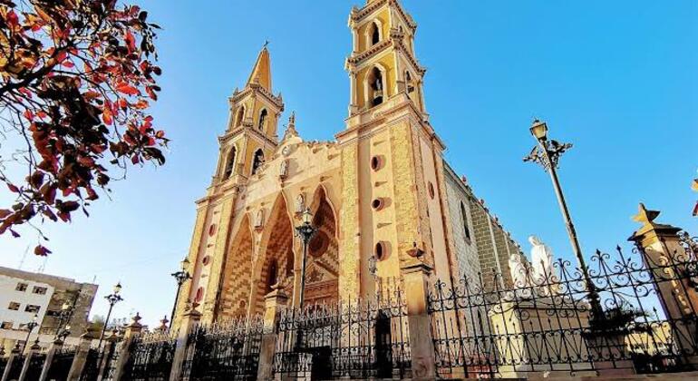 Scoprire Mazatlán con Pulmonia