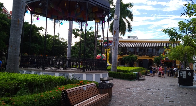 Scoprire Mazatlán con Pulmonia