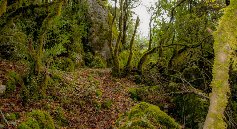 Natur, Kultur und Geschichte im bergigen Griechenland