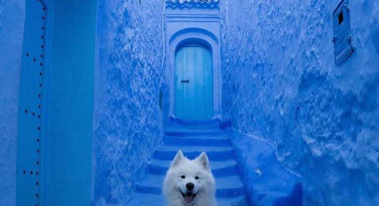 Excursión Rabat Chefchaouen 2 Días 1 noche - Pueblo Azul