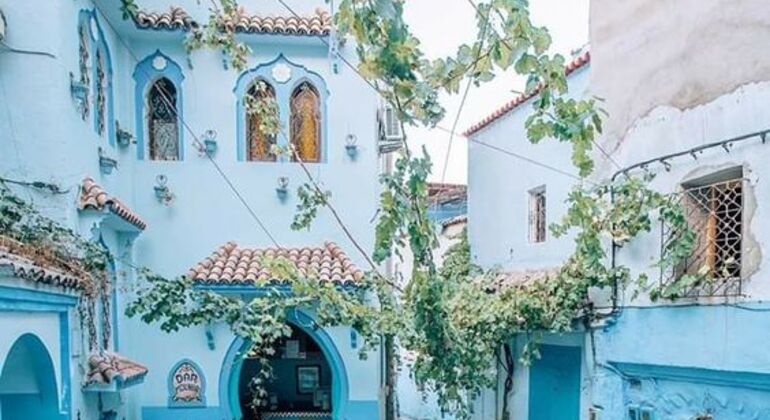 Excursión Rabat Chefchaouen 2 Días 1 noche - Pueblo Azul