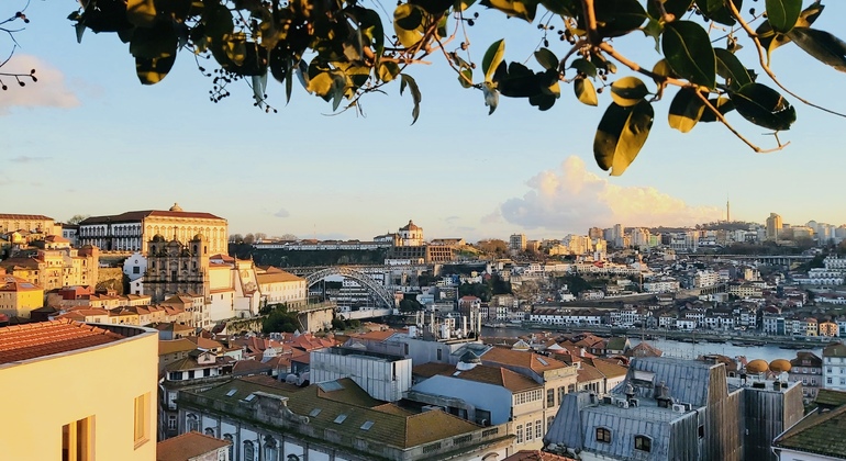 La experiencia de Oporto: Historia, cultura y degustaciones