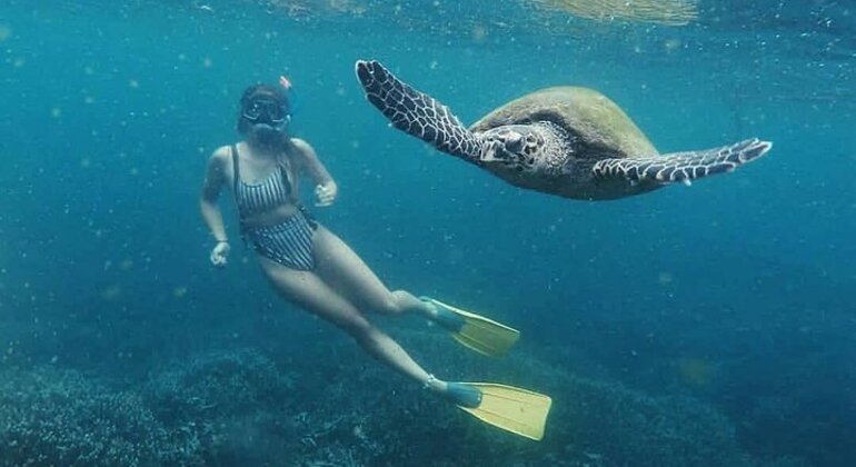 Snorkeling in Unawatuna