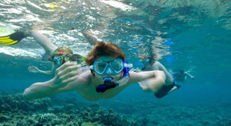 Snorkeling in Unawatuna