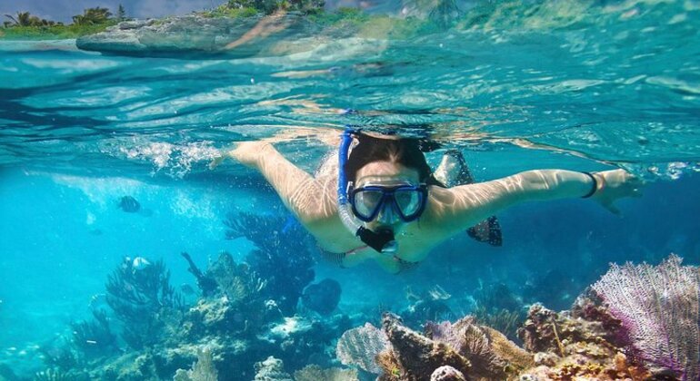 Snorkeling in Unawatuna