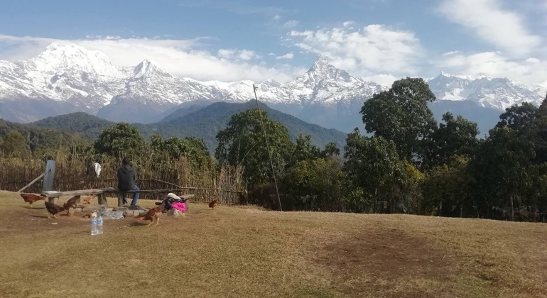 Australian Camp Tageswanderung