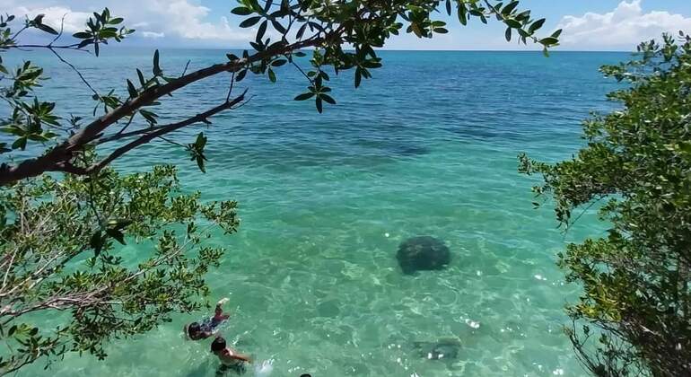Landtour - Bantayan Insel